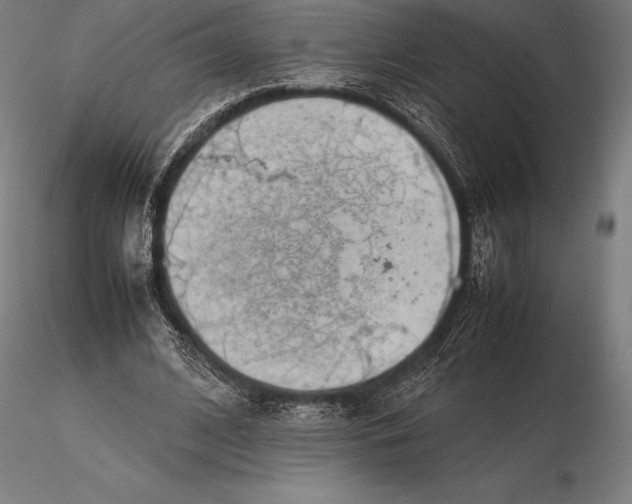 X0000115720584200912031553