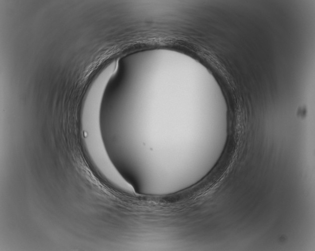 X0000115720585200912031553