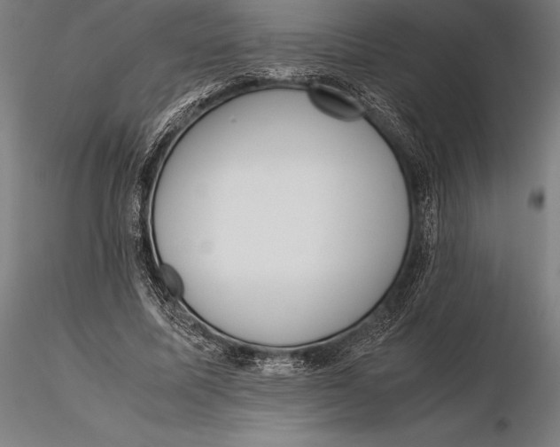 X0000115720587200912031553