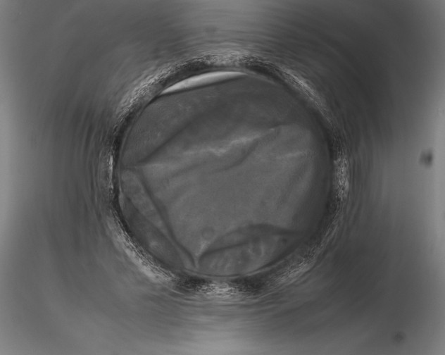 X0000115720589200912031552