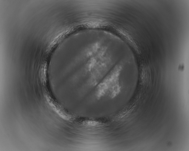 X0000115720590200912031552