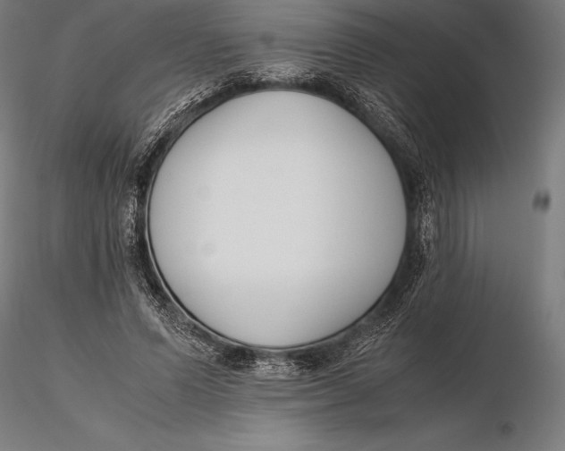 X0000115720591200912031552