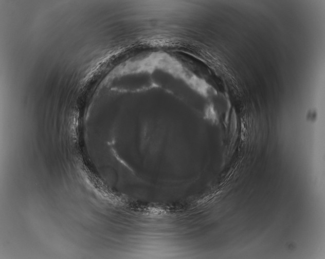 X0000115720592200912031552