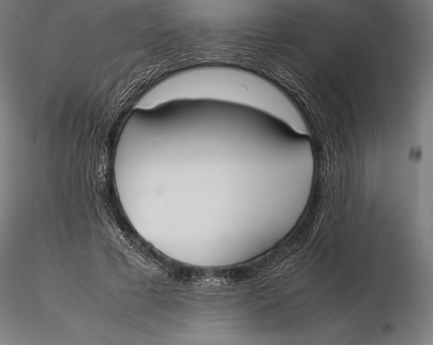 X0000115720593200912031552
