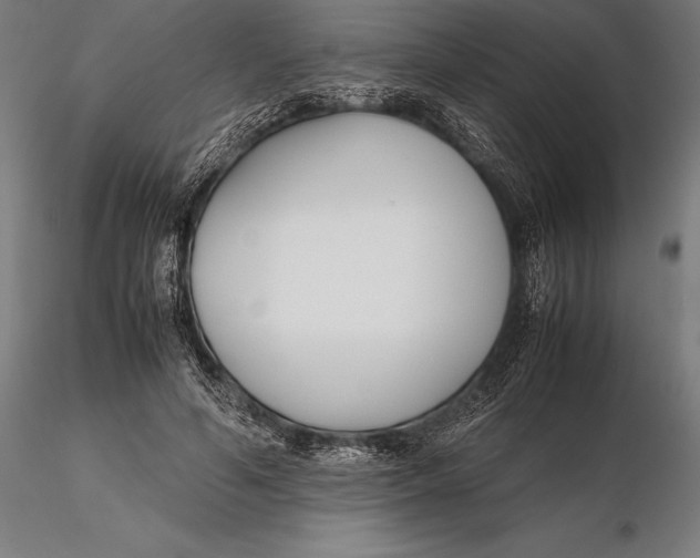 X0000115720594200912031552
