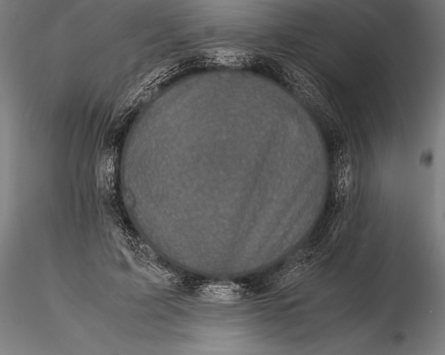 X0000115720595200912031552