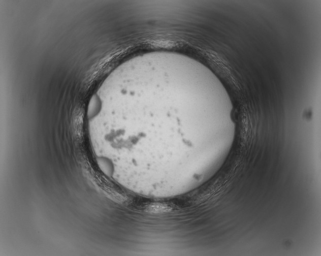 X0000115720596200912031552