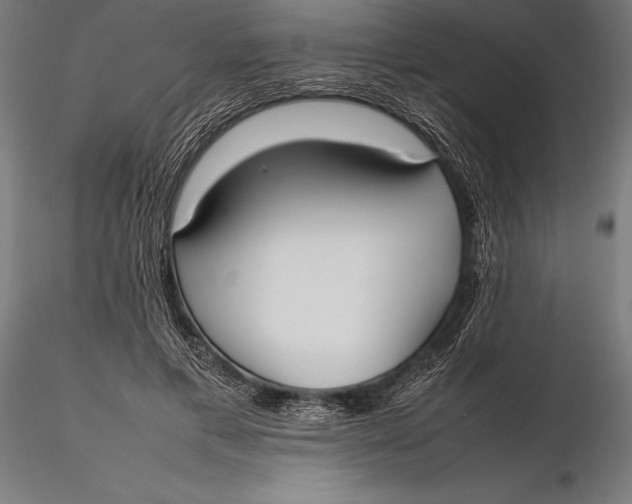 X0000115720597200912031552