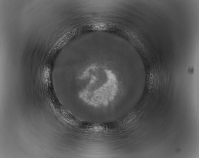 X0000115720598200912031552