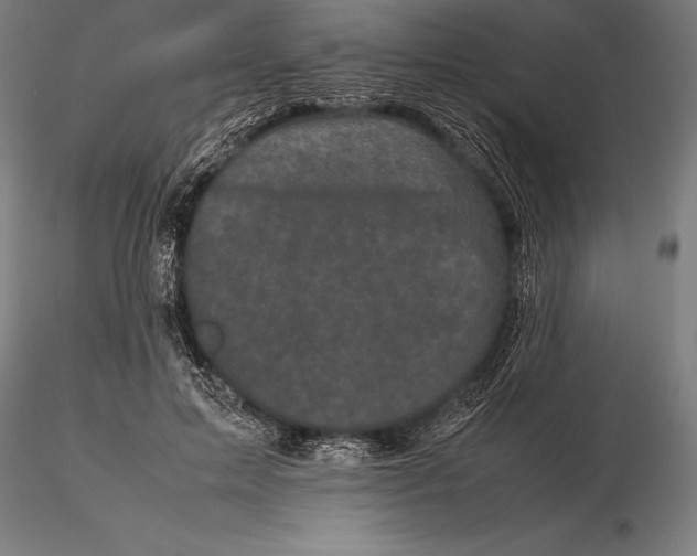 X0000115720599200912031552