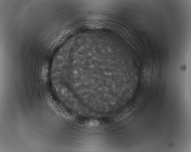 X0000115720600200912031552