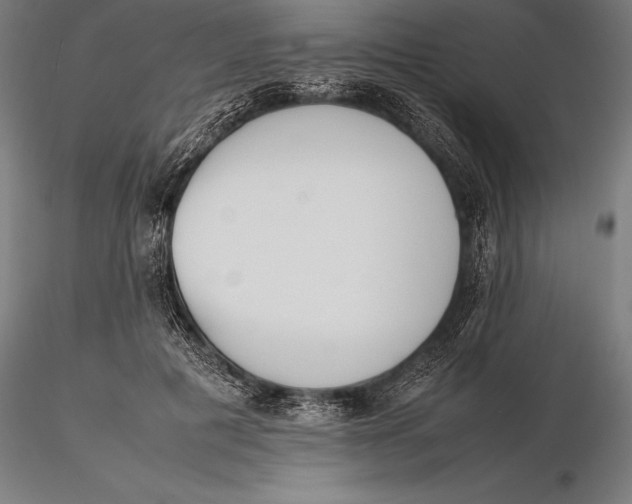 X0000115720601200912031552