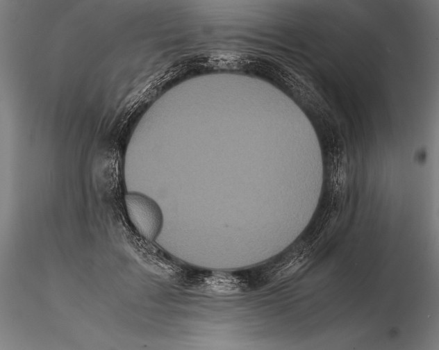 X0000115720603200912031552