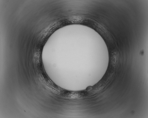 X0000115720604200912031552