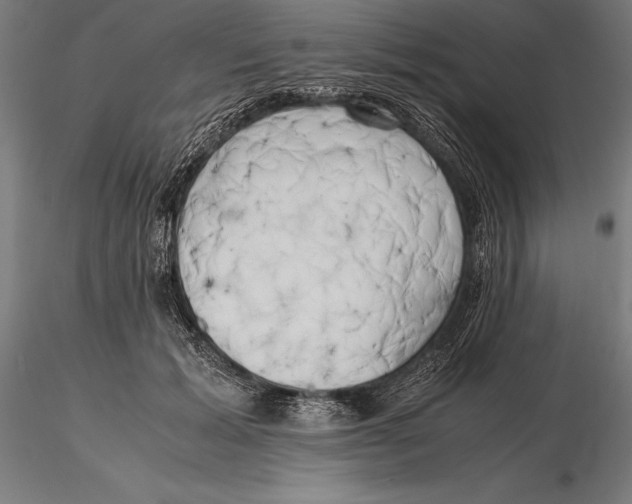X0000115720605200912031552