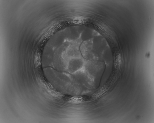 X0000115720606200912031552