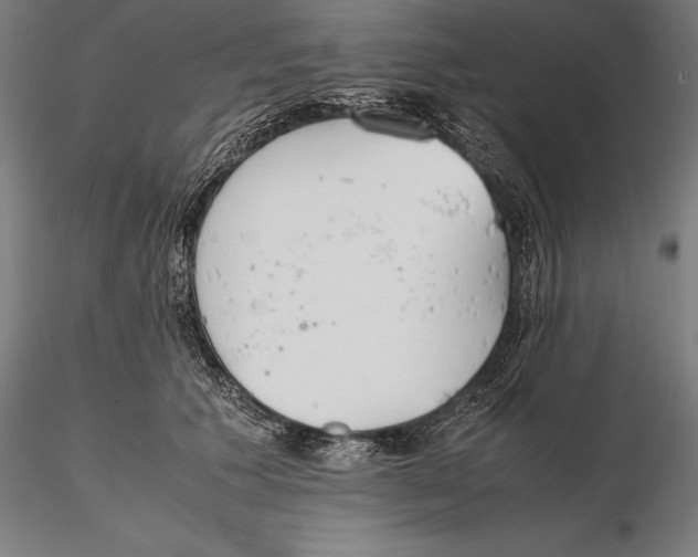 X0000115720609200912031552