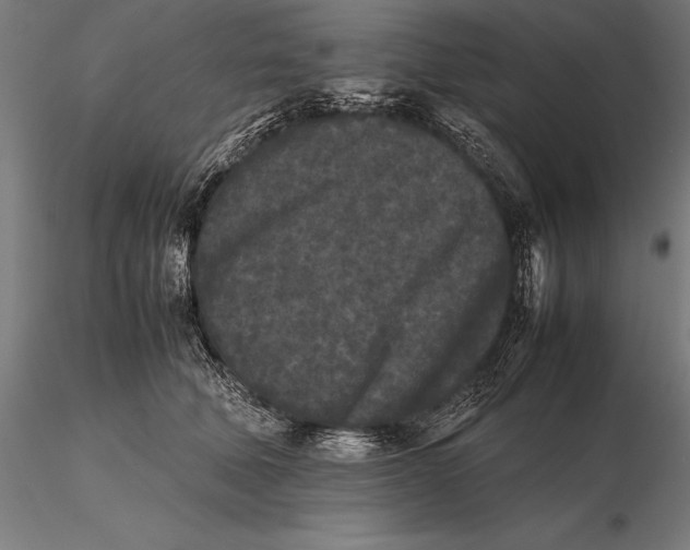 X0000115720610200912031552