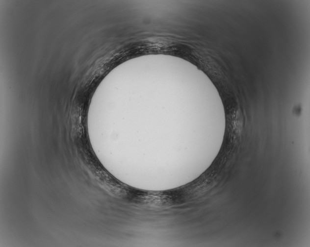 X0000115720615200912031552