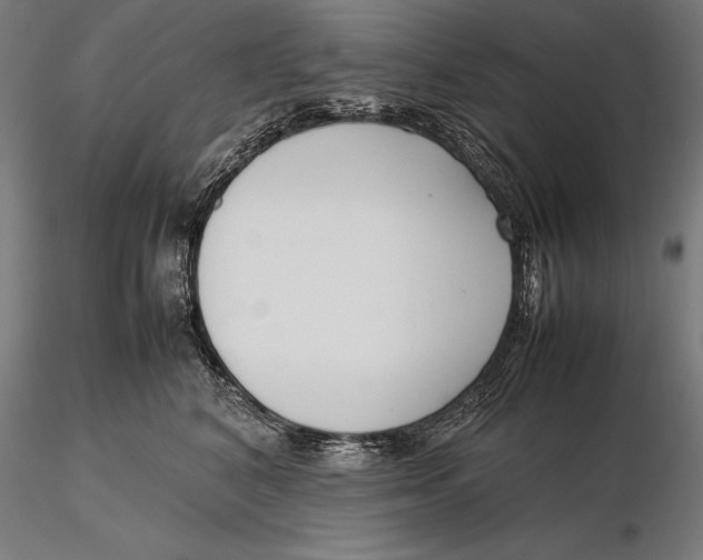 X0000115720616200912031552