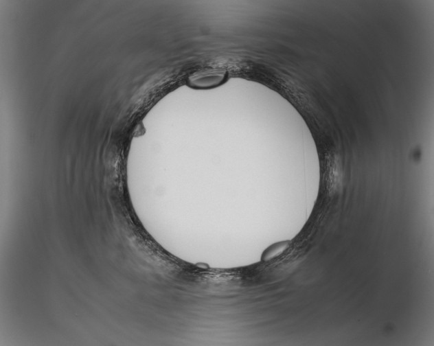 X0000115720619200912031552