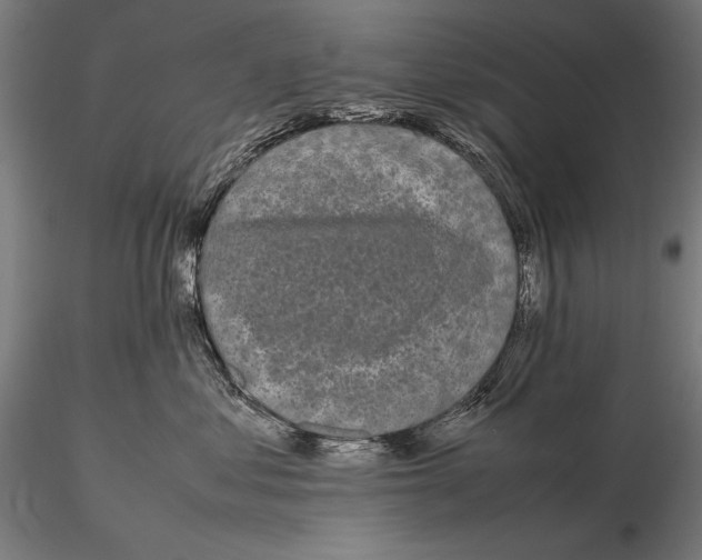 X0000115720621200912031552