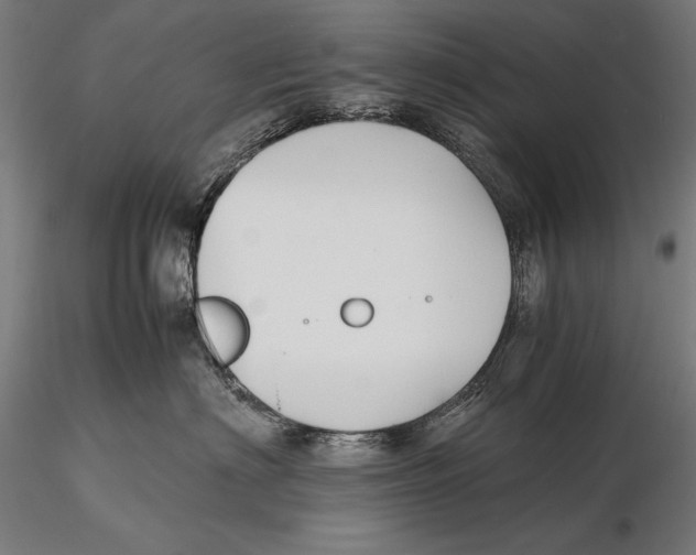 X0000115720622200912031552