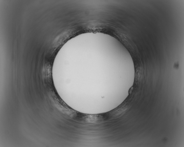 X0000115720623200912031552