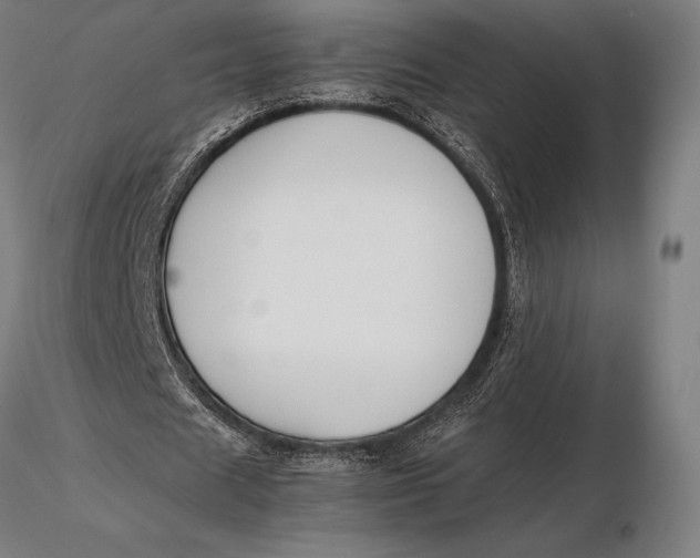 X0000115720625200912031551