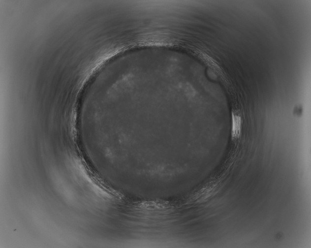 X0000115720627200912031551