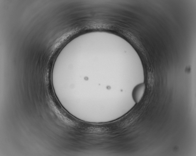 X0000115720629200912031551
