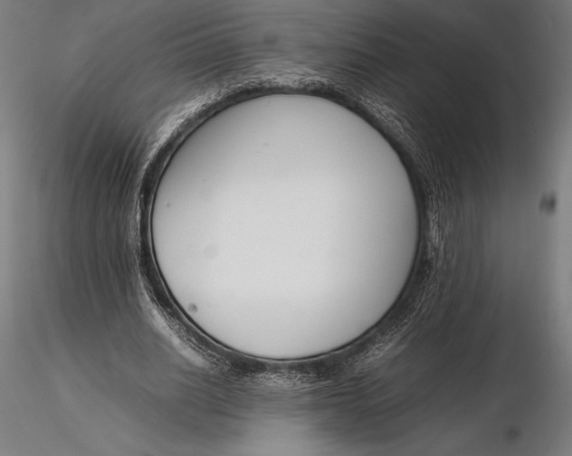 X0000115720630200912031551