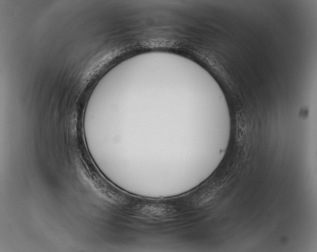 X0000115720631200912031551