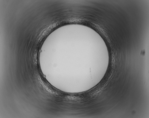X0000115720633200912031551