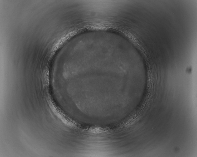 X0000115720634200912031551