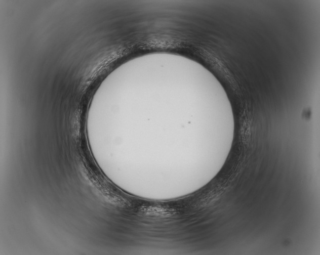 X0000115720635200912031551