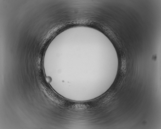 X0000115720636200912031551