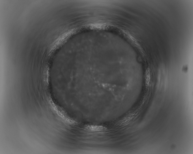 X0000115720637200912031551