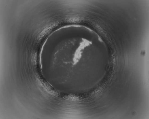 X0000115720640200912031552