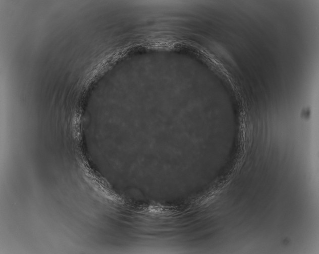 X0000115720641200912031552