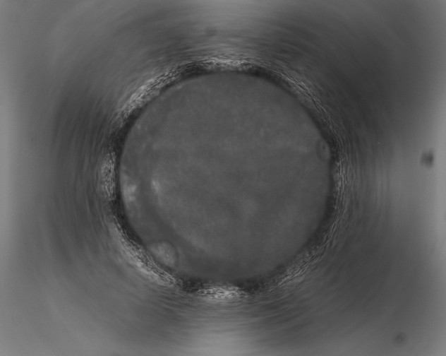 X0000115720642200912031552