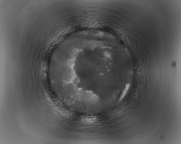 X0000115720643200912031552
