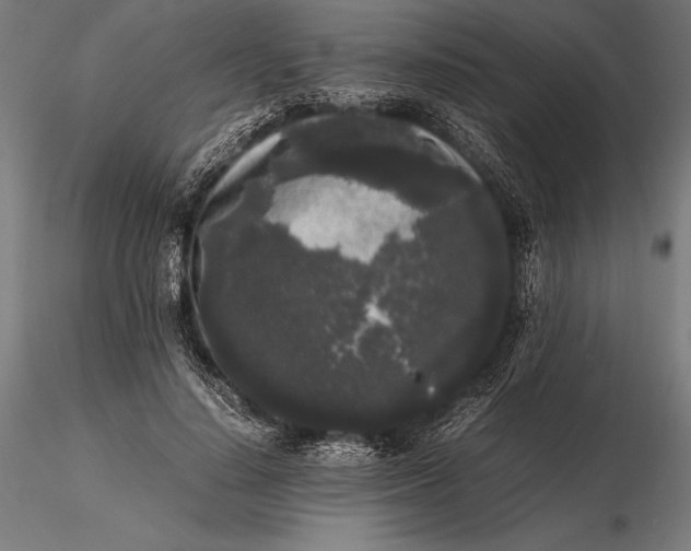 X0000115720644200912031552