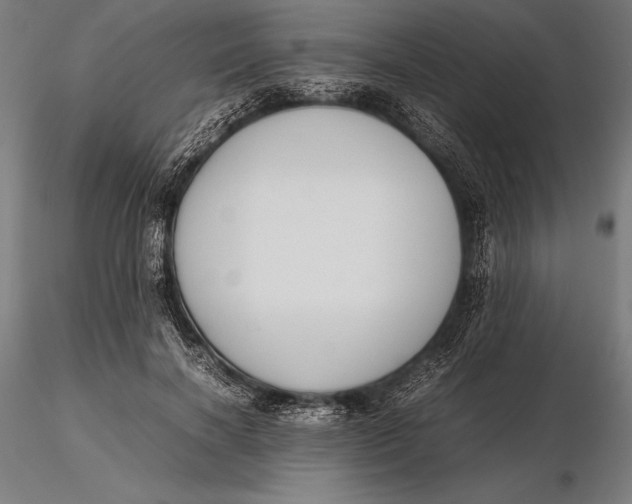 X0000115720646200912031552