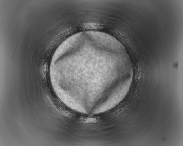 X0000115720647200912031552