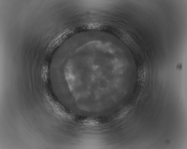 X0000115720648200912031552