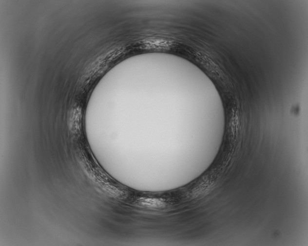 X0000115720649200912031552