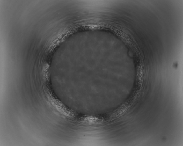 X0000115720650200912031552