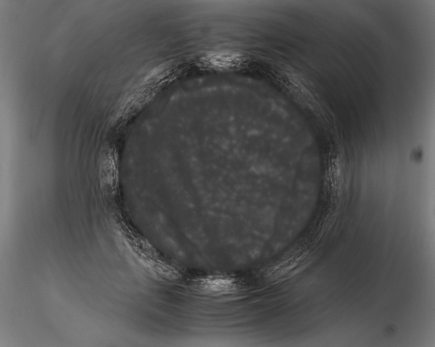 X0000115720651200912031552