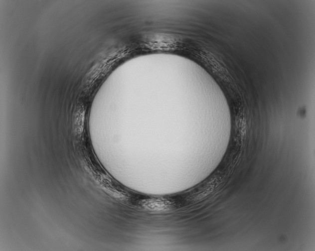 X0000115720652200912031552